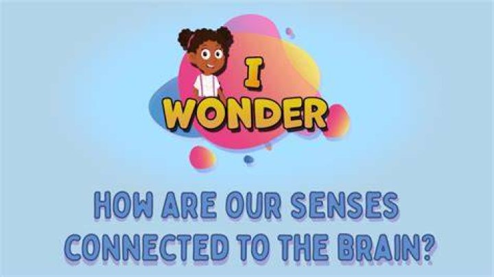 How are our senses connected