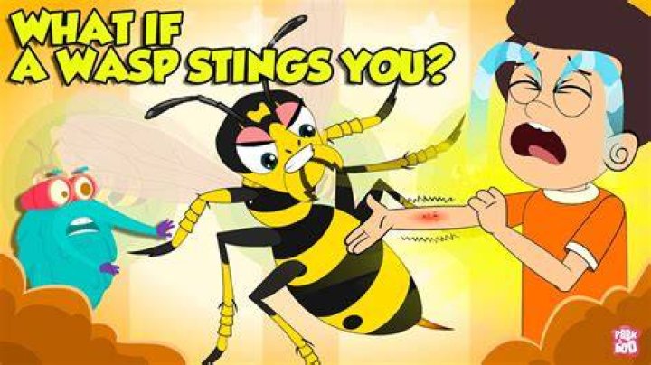 How bad is a red wasp sting