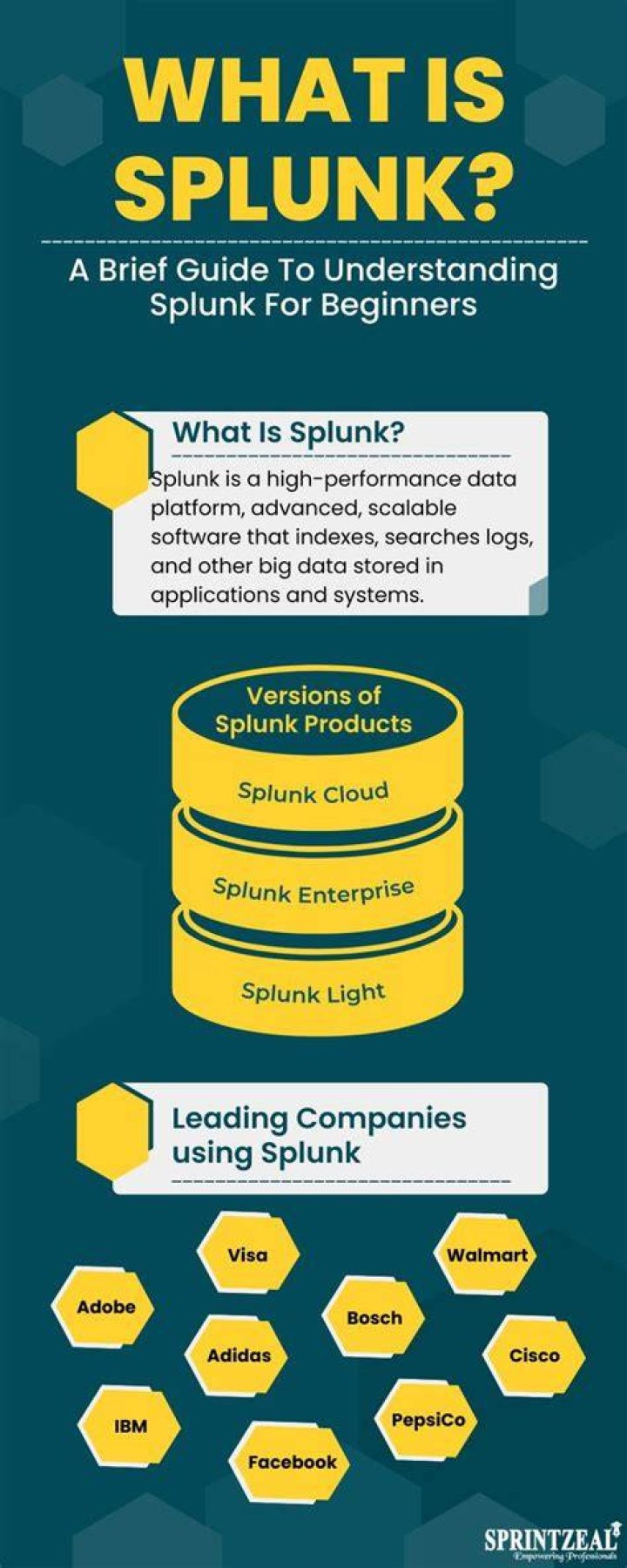 How big a company is Splunk