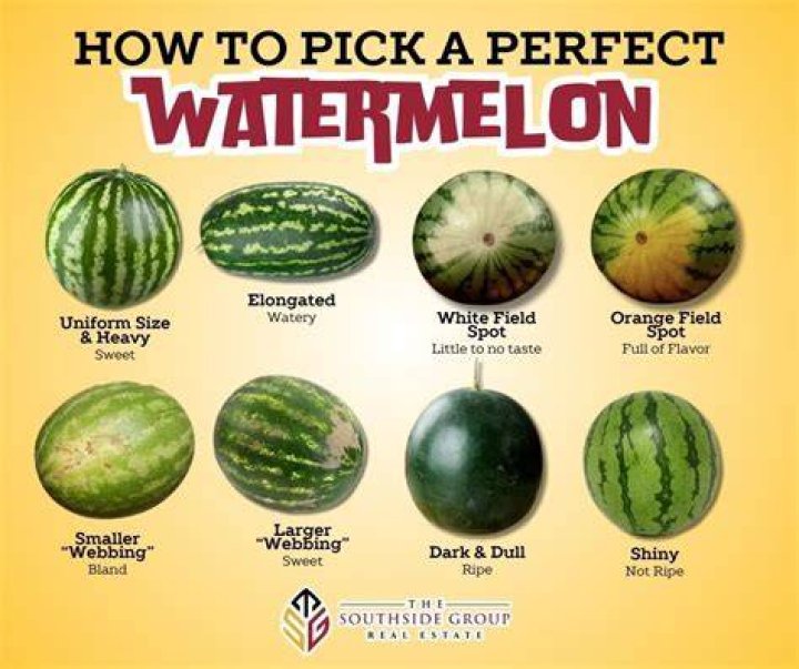 How big is a mini watermelon