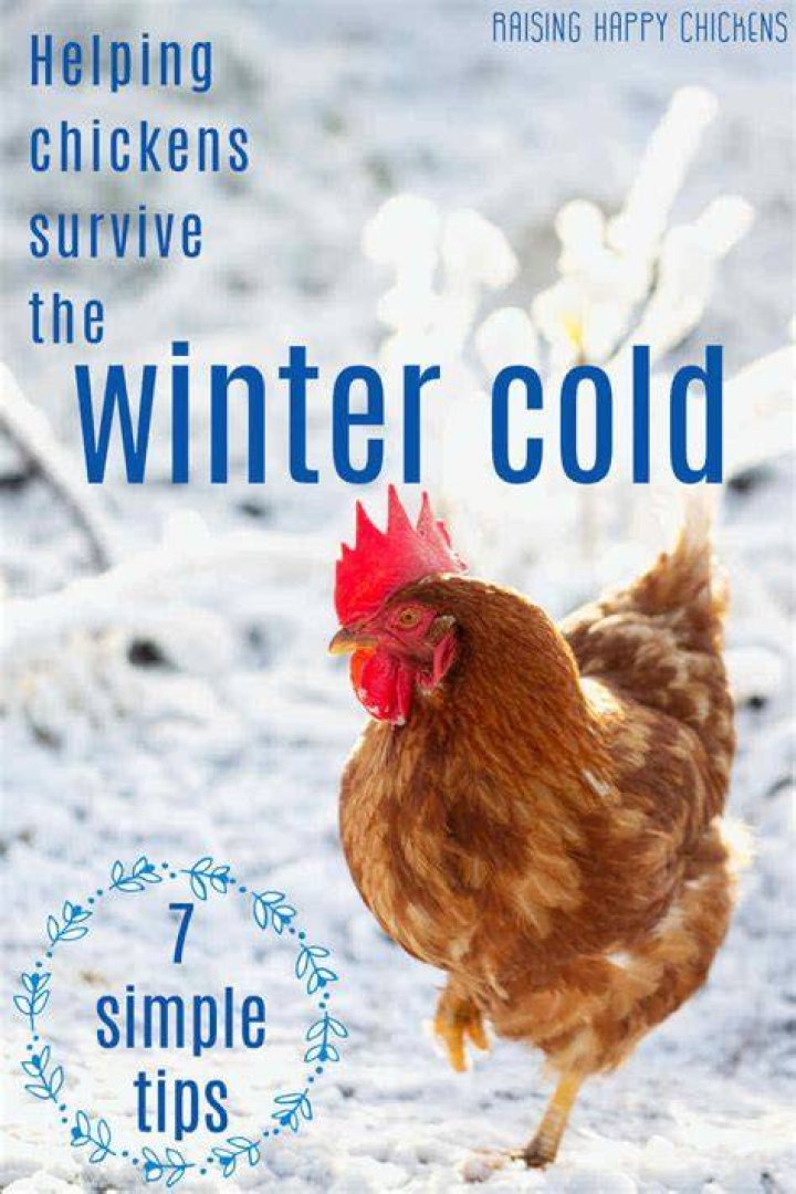 How cold can Grapes survive