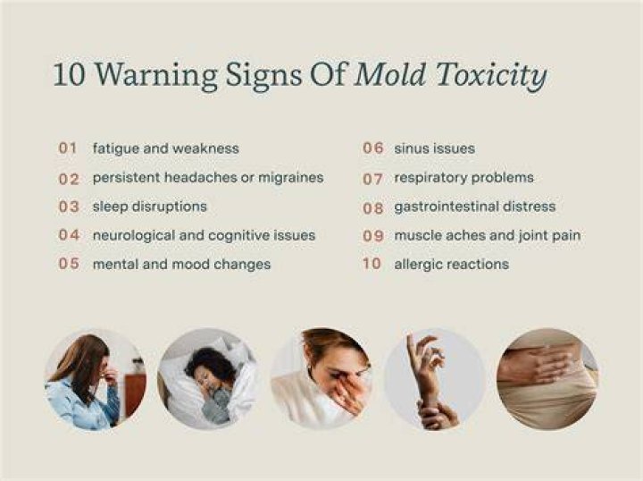 How common is mold toxicity