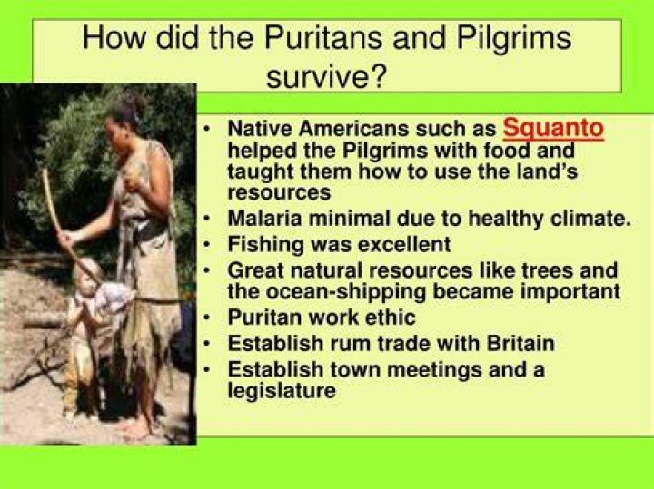 How did the Puritans survive