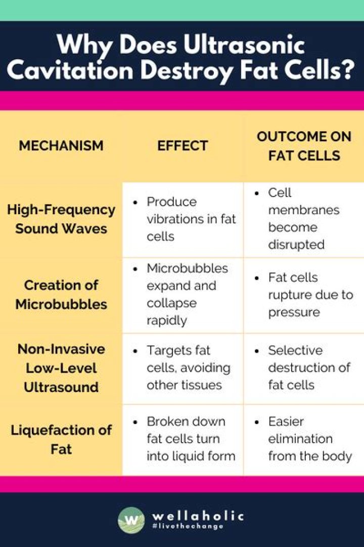 How do fat cells break down