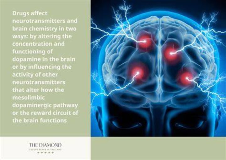 How do Fats affect the brain