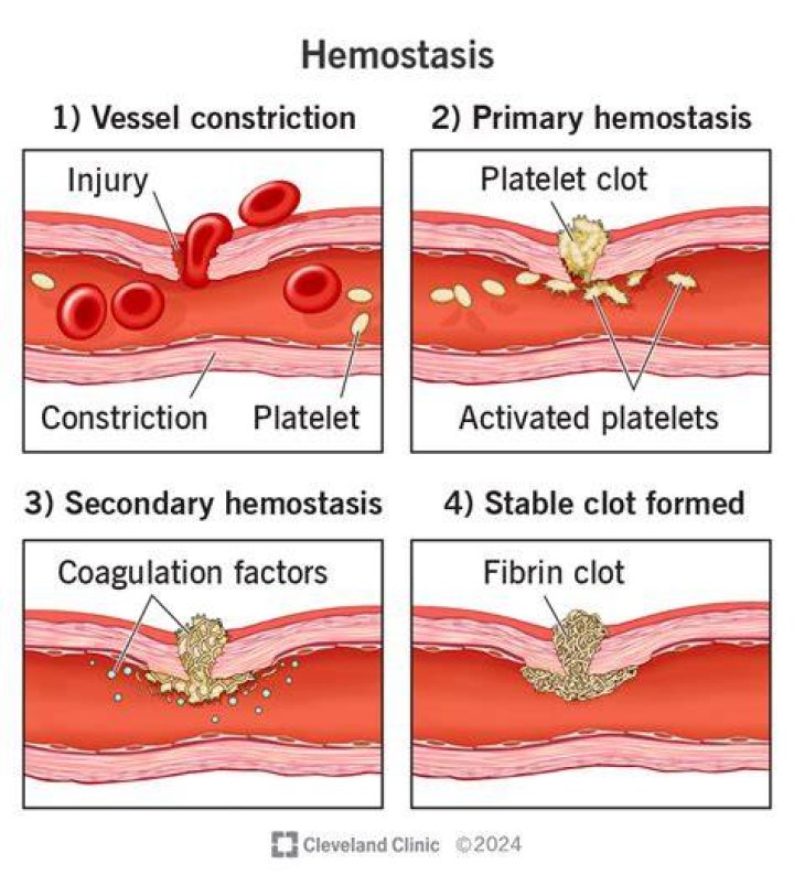 How do hemostatic drugs work