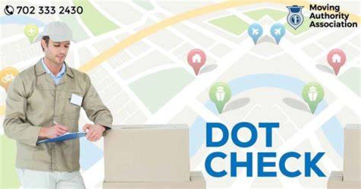 How do I check my DOT status