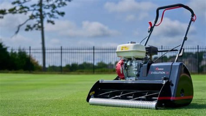 How do I choose a reel mower
