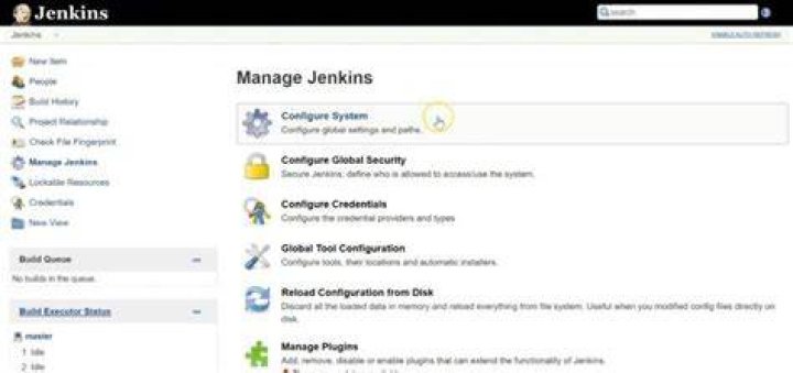 How do I get Jenkins environment variables