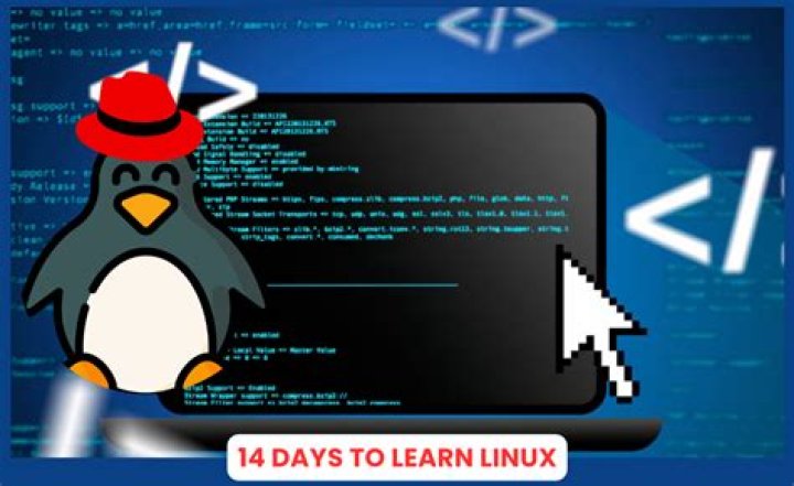 How do I learn Linux scripts