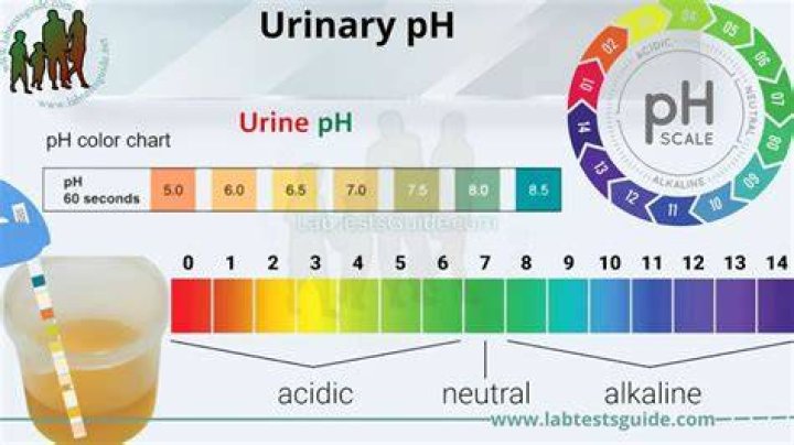 How do I raise my alkalinity