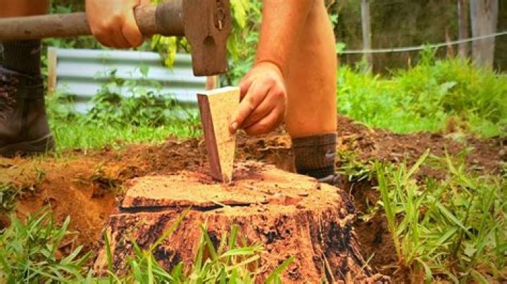 How do I remove a tree stump