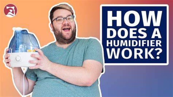 How do I reset my humidifier