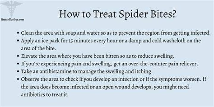 How do I treat a spider bite