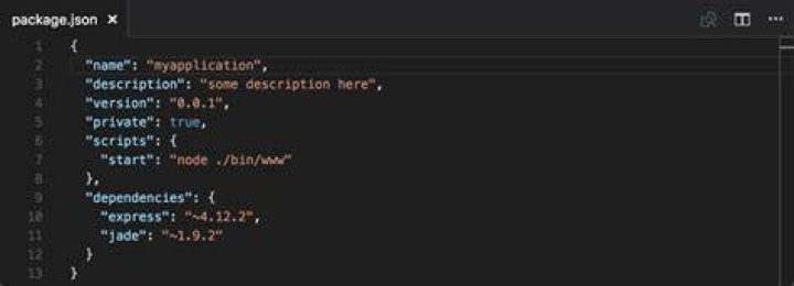 How do I use Newtonsoft JSON