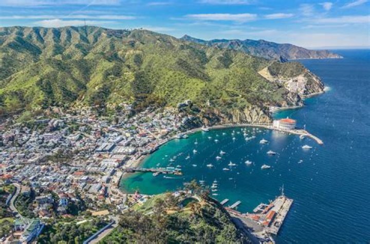 How do I view Catalina logs