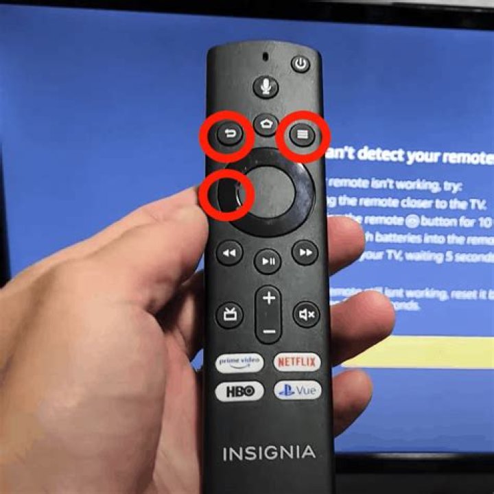 How do I work my Insignia TV