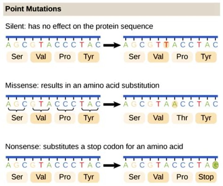 How do mutations cause aging