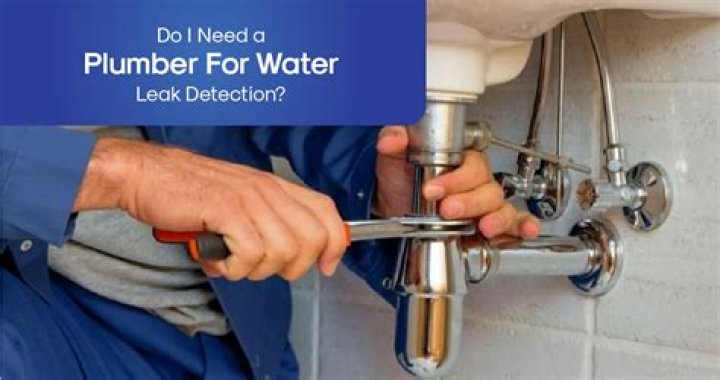 How do plumbers detect leaks