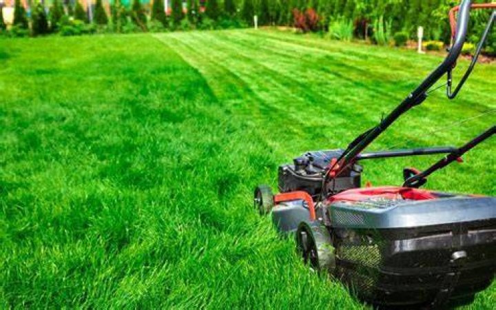 How do push lawn mowers work