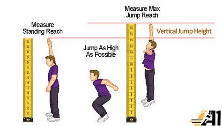 How do they measure vertical