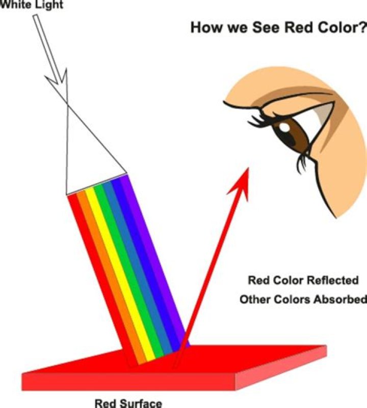 How do we see colors physics