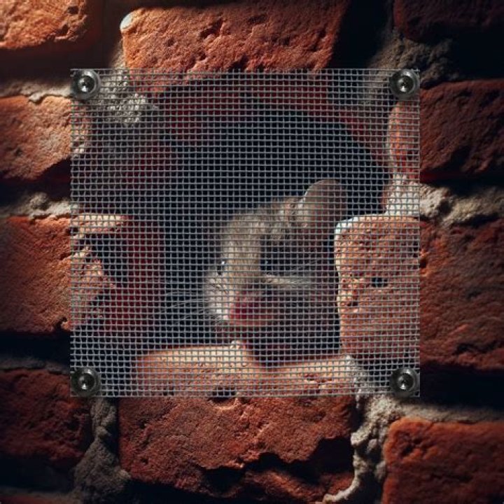 How do you attach mouse mesh