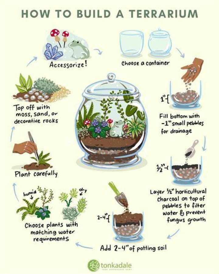 How do you build a terrarium
