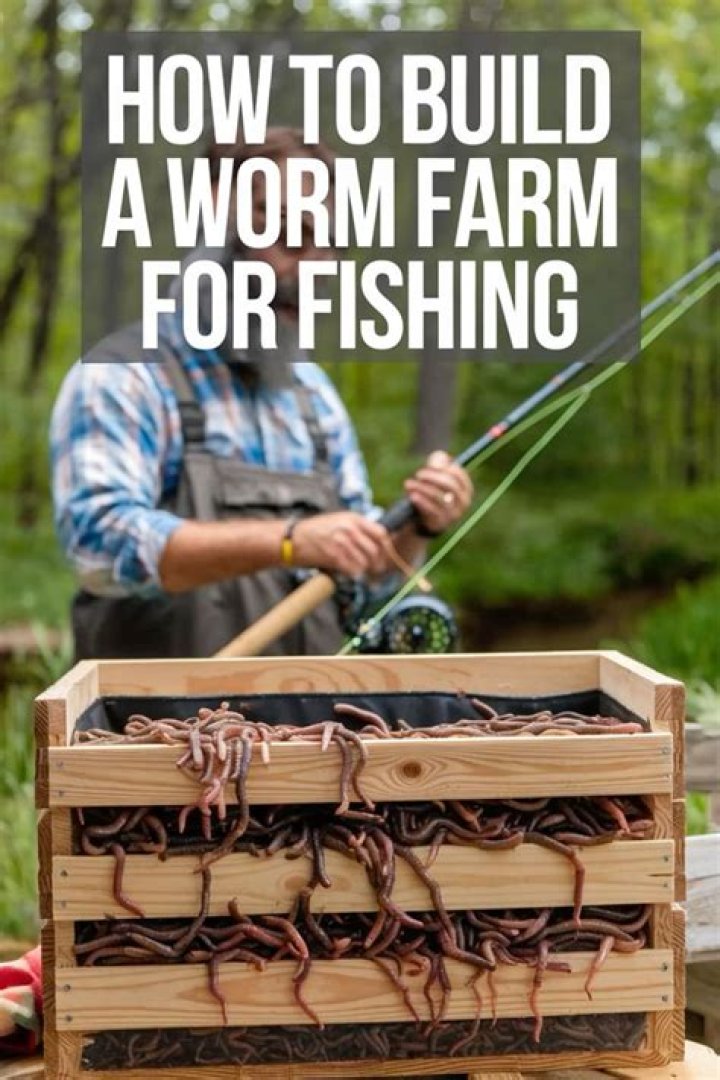 How do you build a worm farm