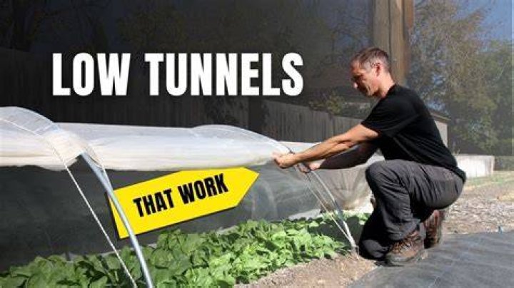 How do you build low tunnels