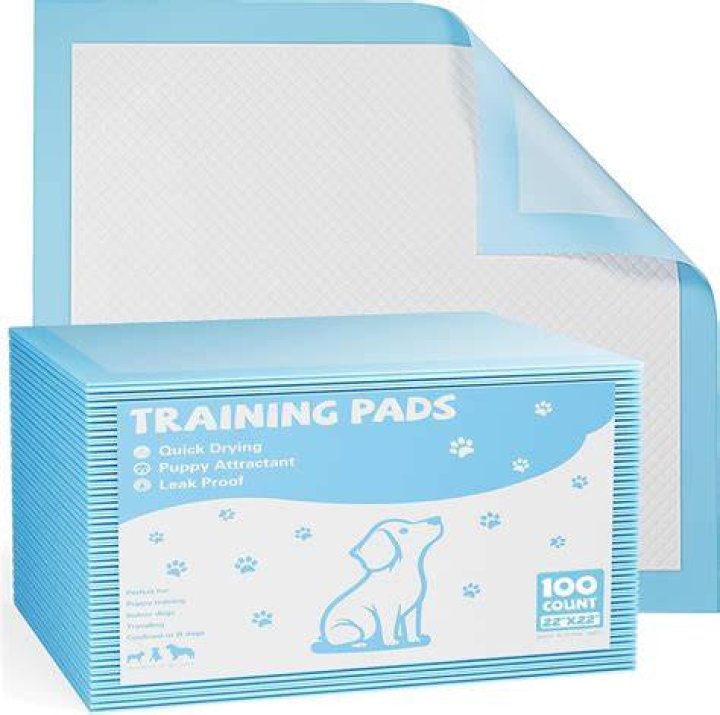 How do you clean a pooch pad