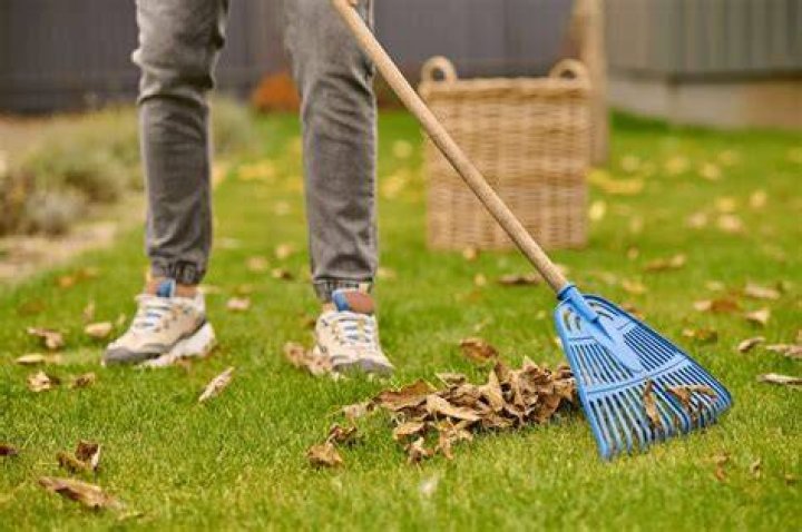 How do you clean yard debris