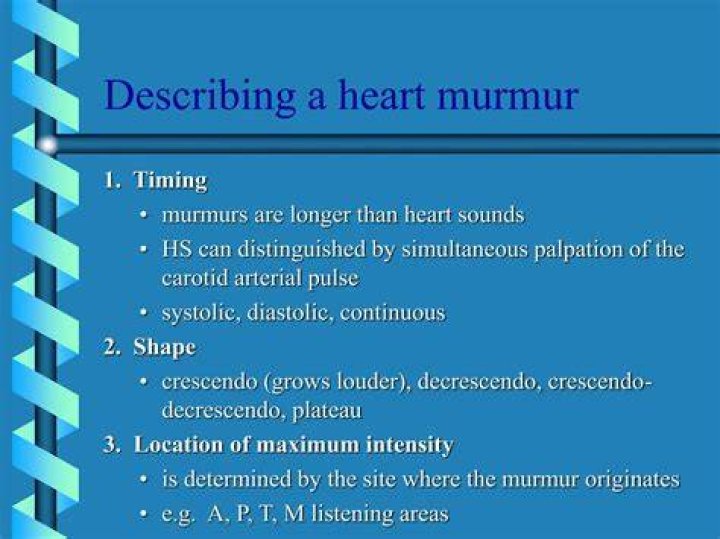 How do you describe a murmur