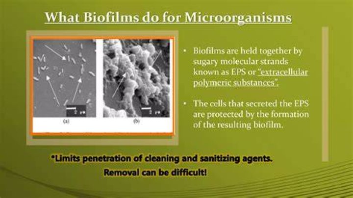 How do you dissolve biofilms