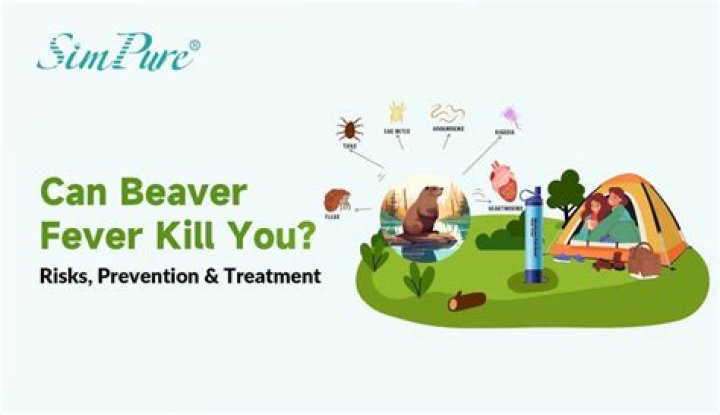 How do you get beaver fever