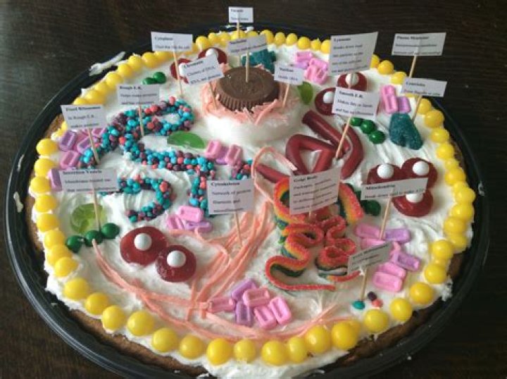 How do you make a candy cell