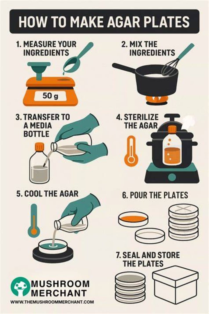 How do you make agar plates