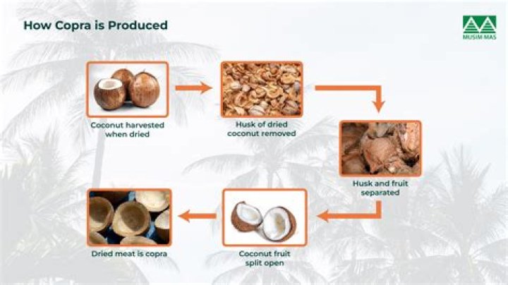 How do you make coconut coir