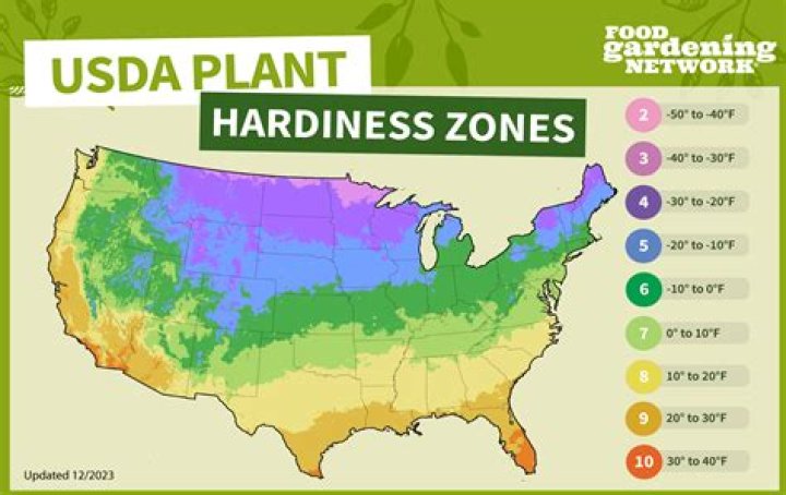 How do you plant from a flat