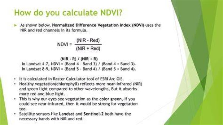 How do you read NDVI values
