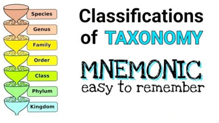 How do you remember taxonomy
