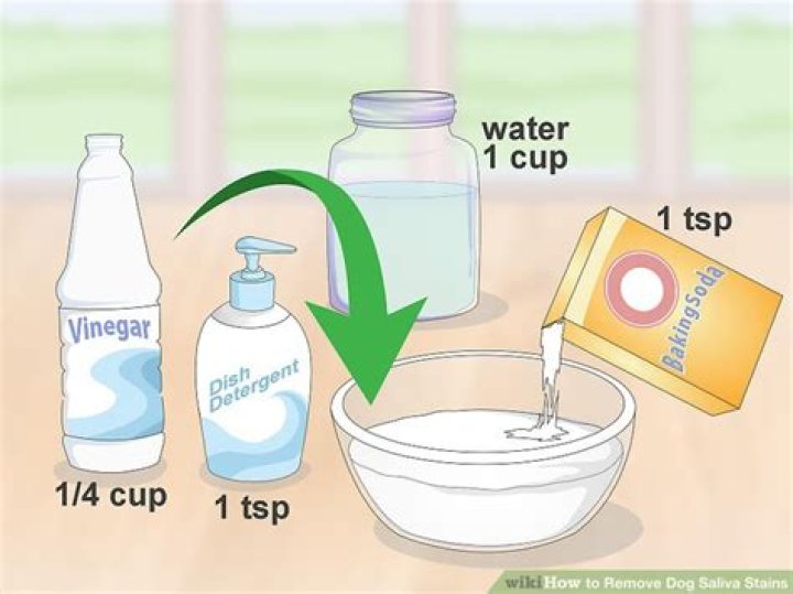 How do you remove dog saliva