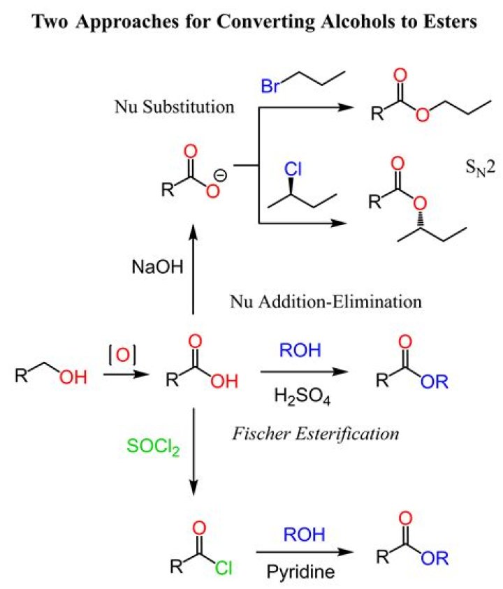 How do you synthesize esters