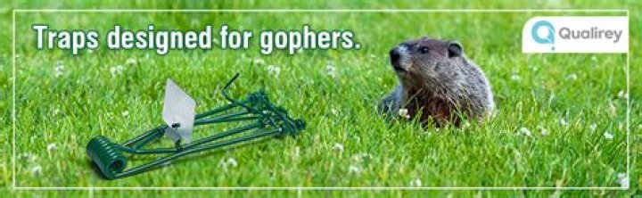 How do you use a gopher trap