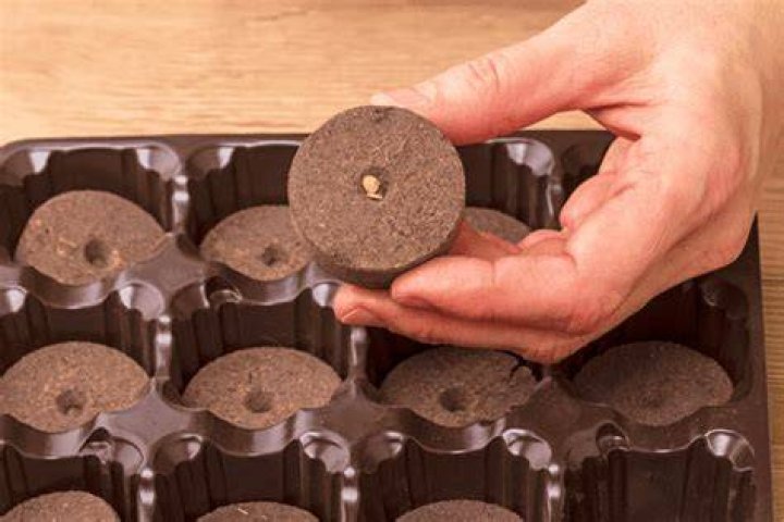 How do you use a peat pellet