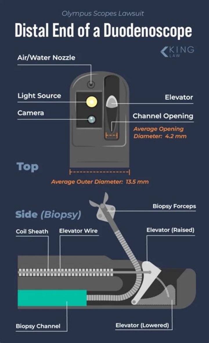 How does a duodenoscope work