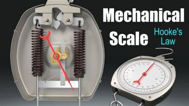 How does a spring scale work