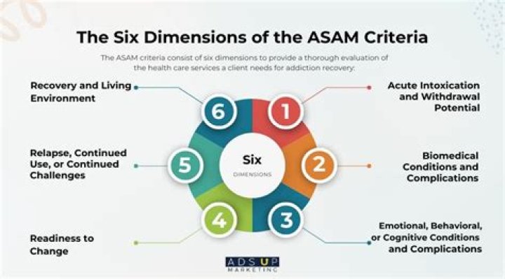 How does ASAM criteria work