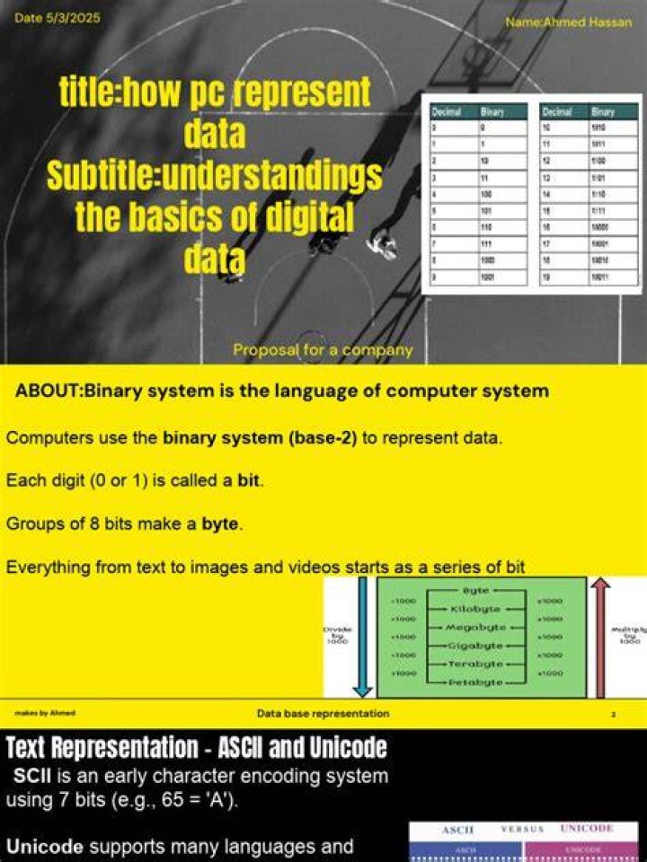 How does bit represent data