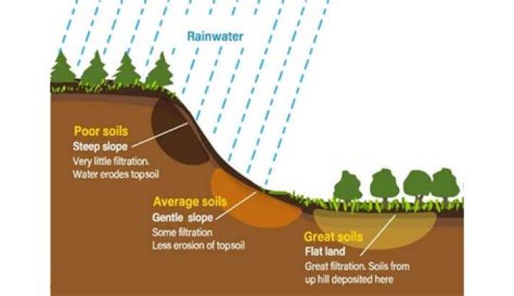 How does climate affect soil